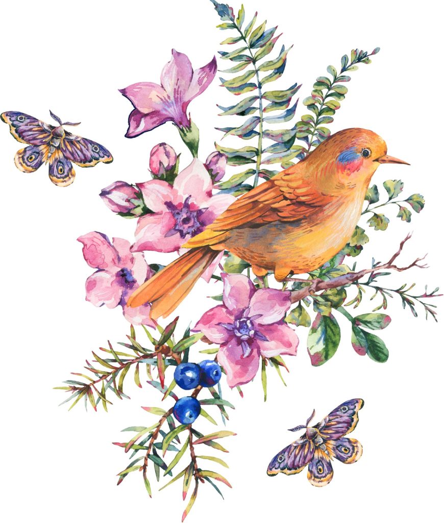 The Watercolorist - Bird and Floral Painting